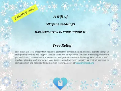 A certificate for a donation of 500 pine seedlings
